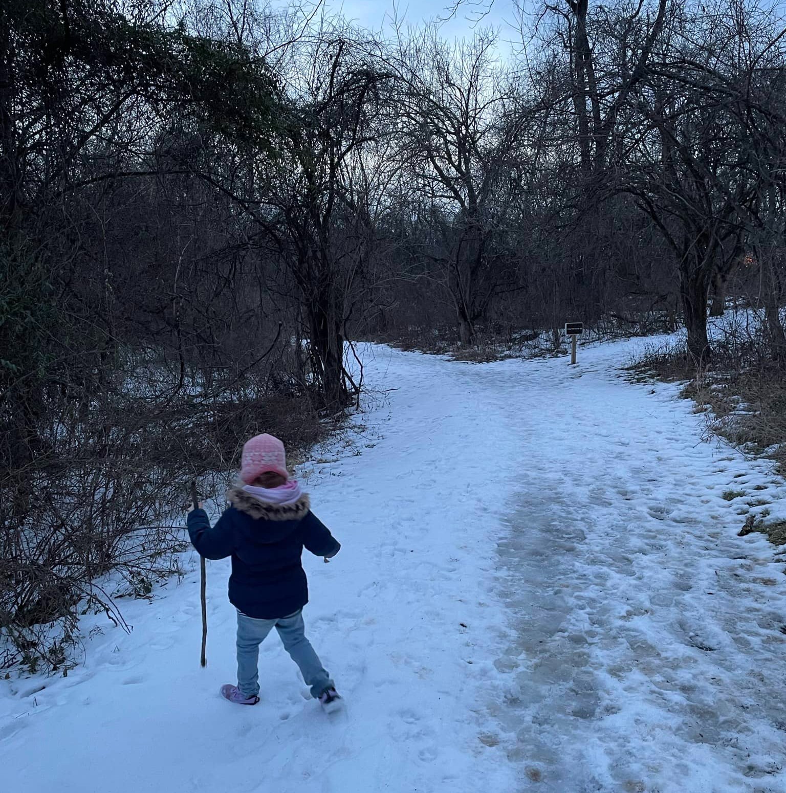 Winter nature walk