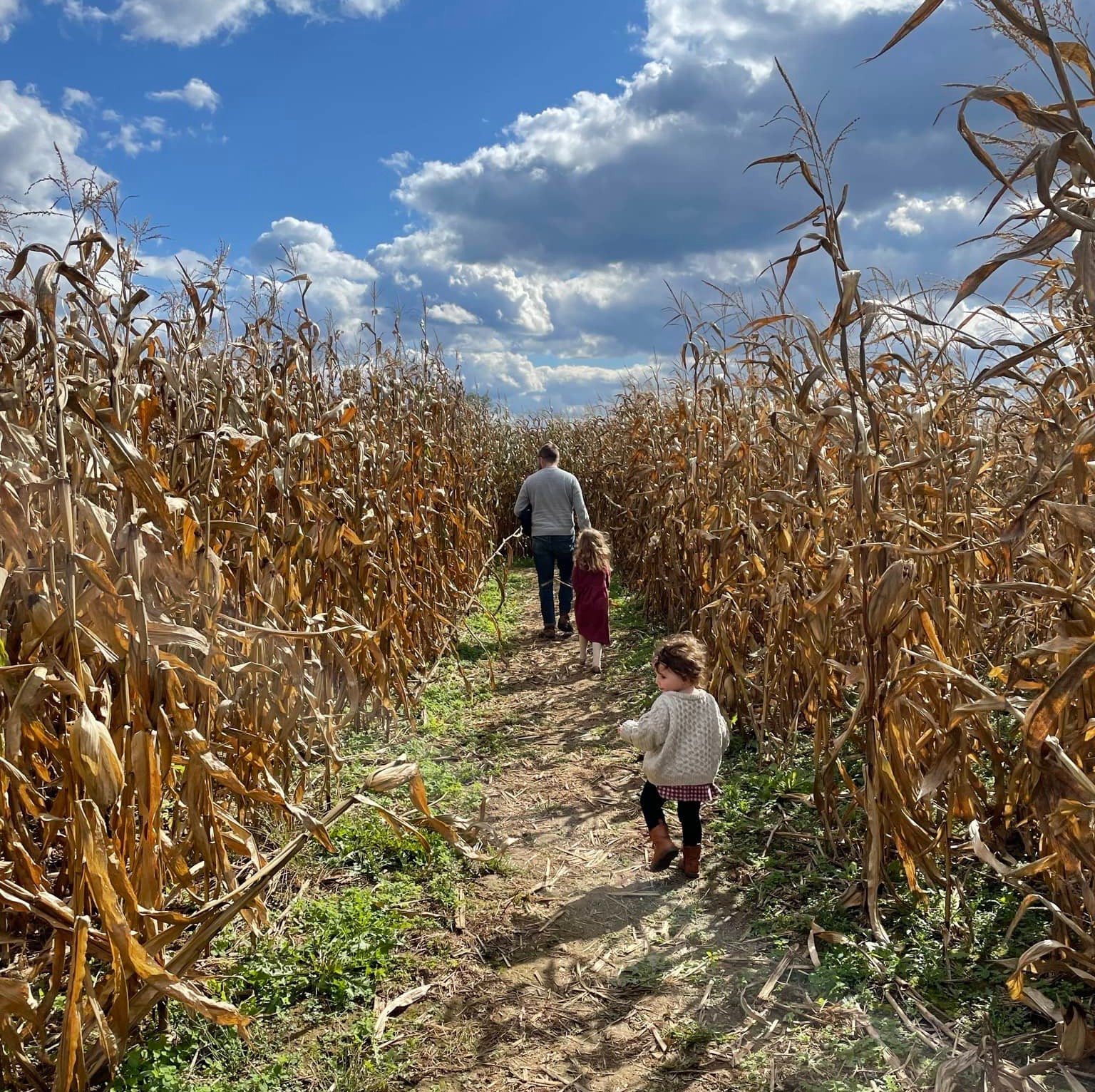 Family in a corn maze