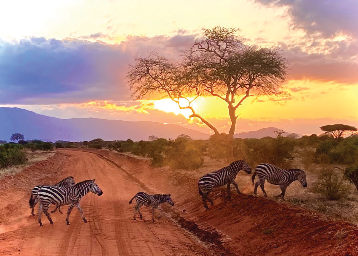 African Sunset by Landon Hopper