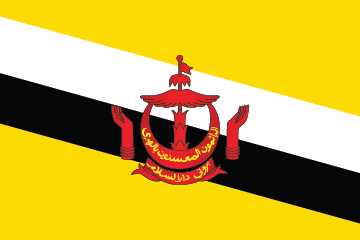 Brunei Flag
