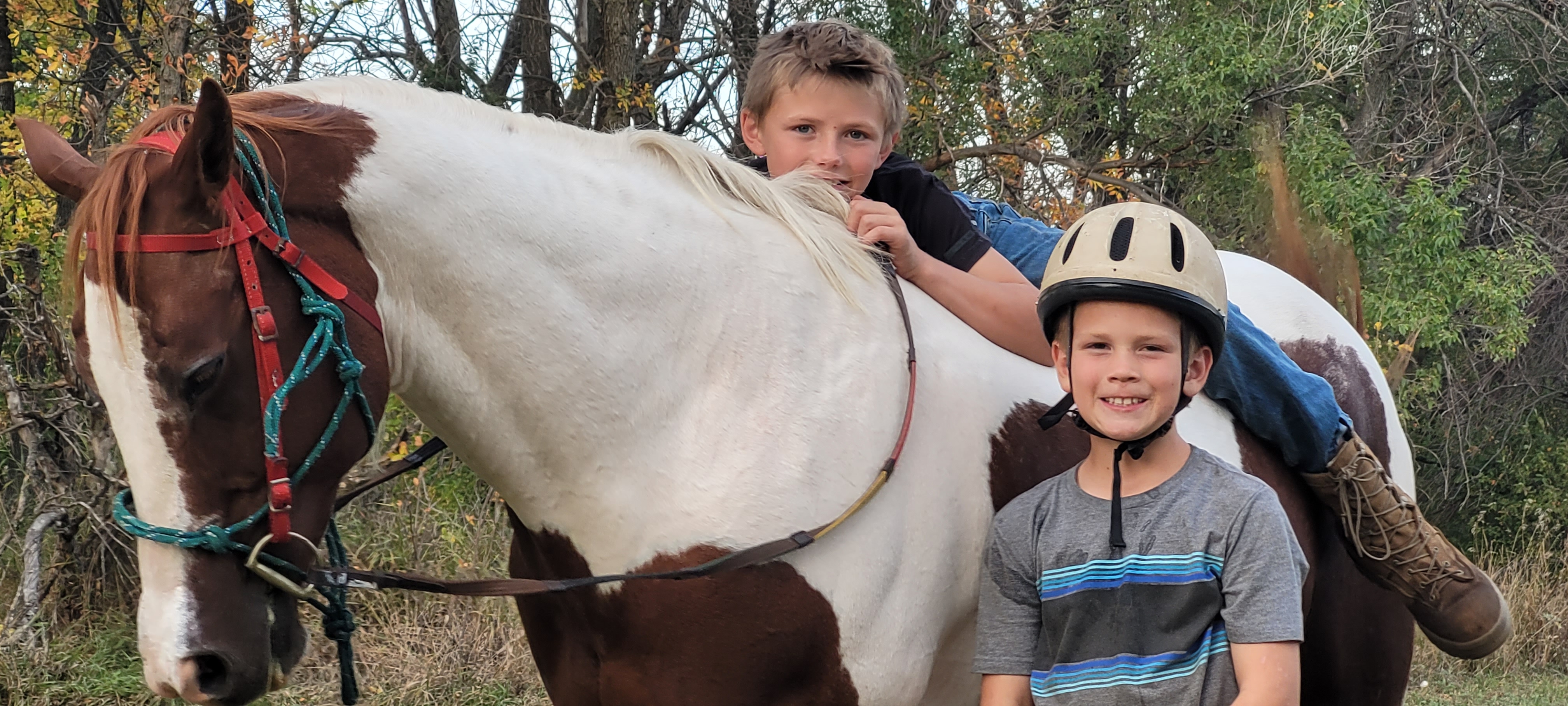 Zane-and-Xavier-horses
